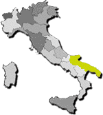 pubblicit�